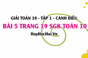 Giải bài 5 trang 19 Toán 10 tập 1 SGK Cánh Diều